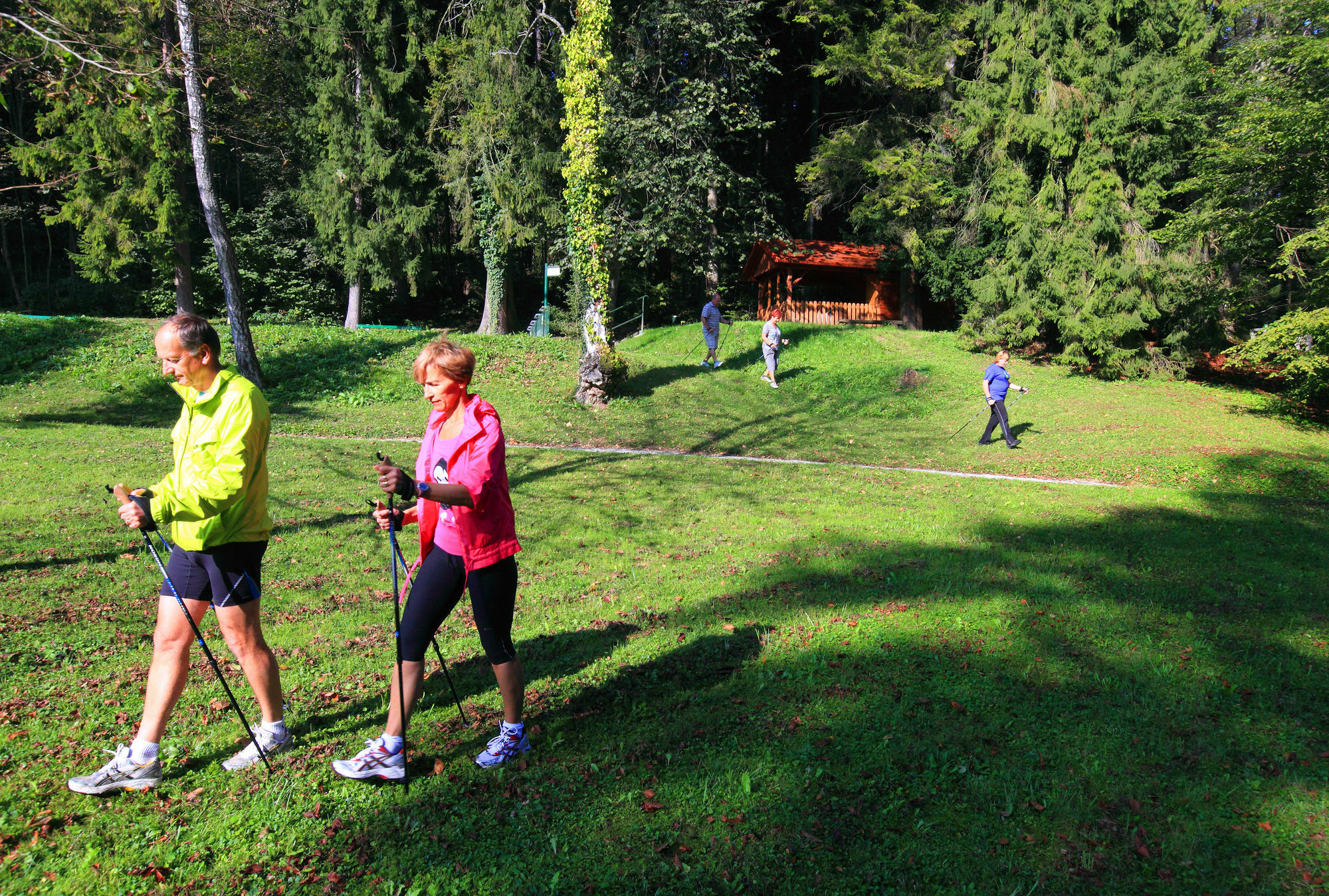 Depandance Vila Higiea - Terme Dobrna Exterior foto